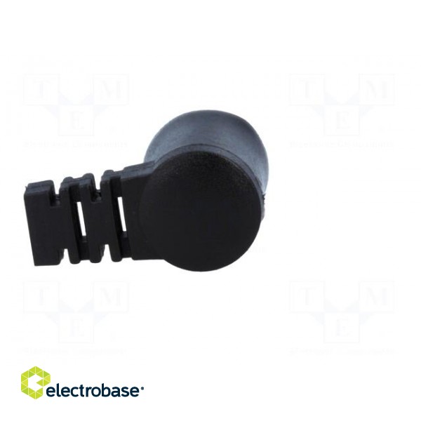 Plug | loudspeaker | male | plastic | screw terminal | angled 90° paveikslėlis 5