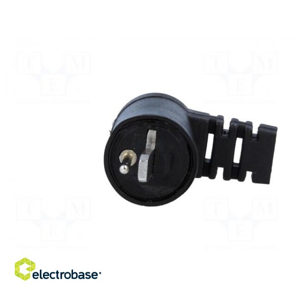 Plug | loudspeaker | male | plastic | screw terminal | angled 90° image 9