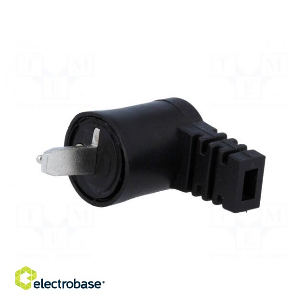 Plug | loudspeaker | male | plastic | screw terminal | angled 90° paveikslėlis 2