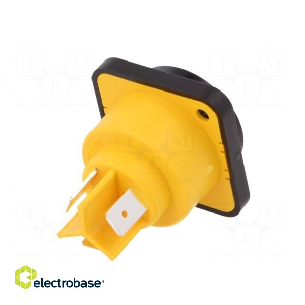 Socket | AC supply | female | PIN: 3 | 16A | 250V | thermoplastic | IP65 paveikslėlis 6
