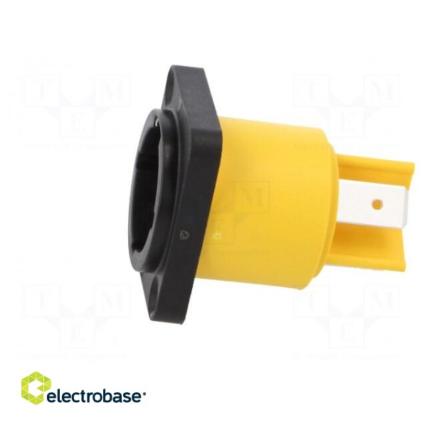 Socket | AC supply | male | PIN: 3 | 16A | 250V | thermoplastic | HPT | IP65 image 3
