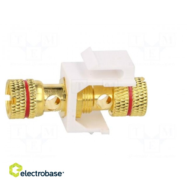 Socket | coupler | female x2 | Keystone | gold-plated | straight | red image 3