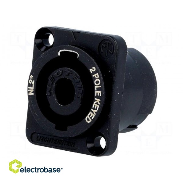 Socket | loudspeaker | male | PIN: 2 | 30A | 250V | 4.8mm connectors image 1