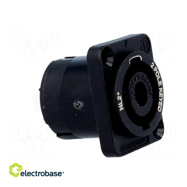 Socket | loudspeaker | male | PIN: 2 | 30A | 250V | 4.8mm connectors image 8