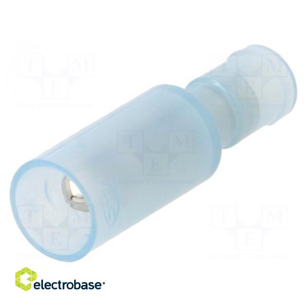 Terminal: round | male | Ø: 4mm | 2mm2 | crimped | for cable | insulated image 1