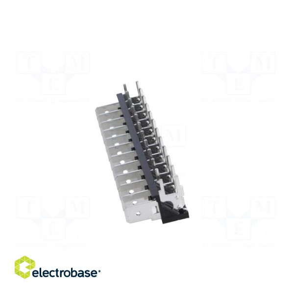 Terminal: spade terminal strip | 6.3mm | THT | 250V | angled 90° | 12A image 3