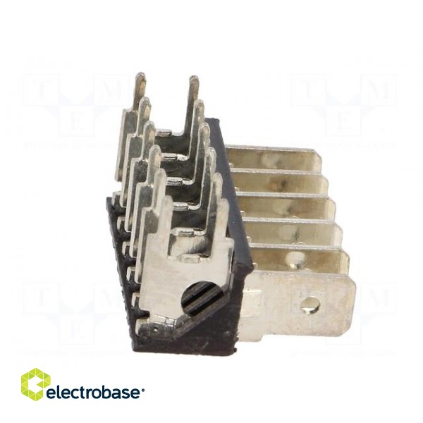 Terminal: spade terminal strip | 6.4mm | 0.8mm | THT | steel | tinned image 7