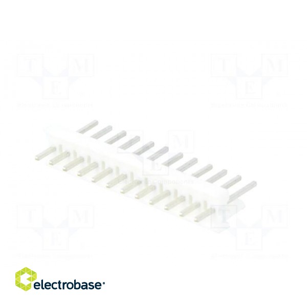Socket | wire-board | male | PIN: 12 | 2.54mm | THT | MTA-100 | tinned image 6