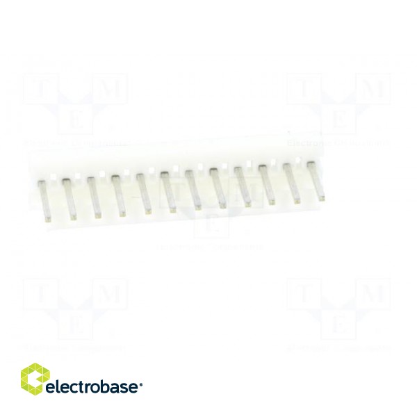 Socket | wire-board | male | PIN: 12 | 2.54mm | THT | MTA-100 | tinned image 9