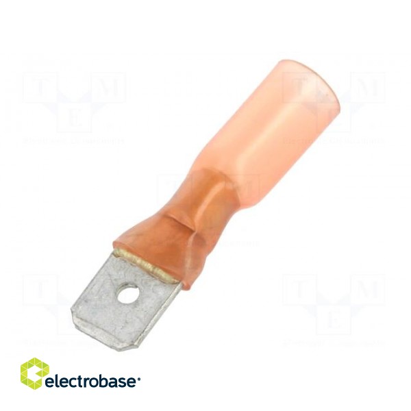 Terminal: flat | 6.3mm | 0.8mm | male | for cable | insulated | RAYCHEM