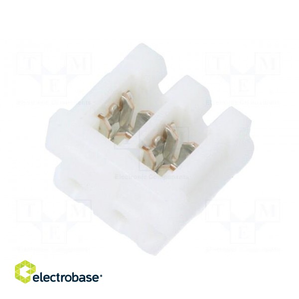Plug | wire-board | female | CT | 2mm | PIN: 2 | IDC | for cable | AMP image 1