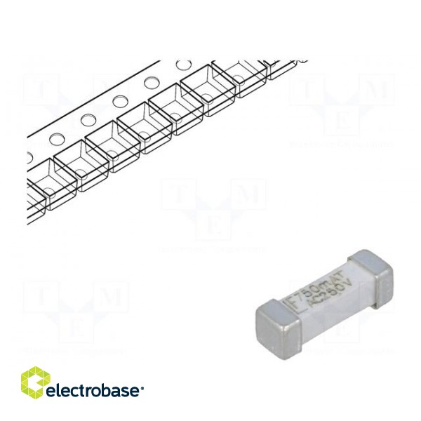 Fuse: fuse | time-lag | 750mA | 250VAC | 250V | 125VDC | SMD | ceramic | 443