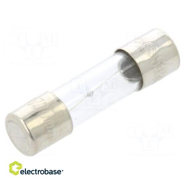 Fuse: fuse | medium time-lag | 700mA | 250VAC | glass | 5x20mm | brass