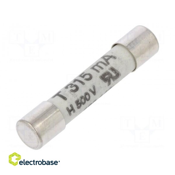 Fuse: fuse | time-lag | 315mA | 500VAC | ceramic,cylindrical | 6,3x32mm