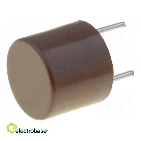 Fuse: fuse | quick blow | 1.6A | 250VAC | THT | TR5 | copper | Pitch: 5.08mm