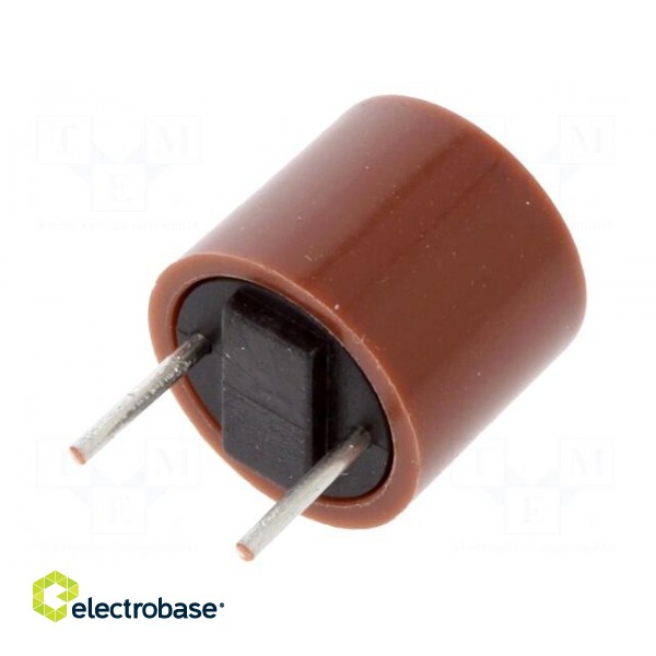 Fuse: fuse | time-lag | 1.25A | 250VAC | THT | TR5 | copper | 887.100 | box