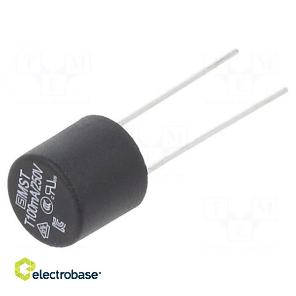 Fuse: fuse | time-lag | 100mA | 250VAC | PCB,THT | TR5 | copper | MST 250