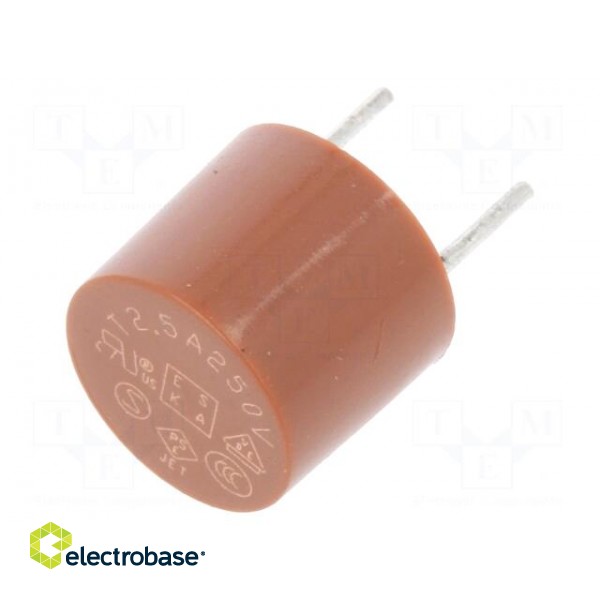 Fuse: fuse | time-lag | 2.5A | 250VAC | THT | TR5 | copper | 887.100 | 5.08mm image 2