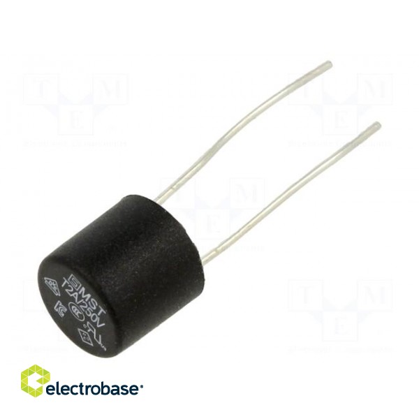 Fuse: fuse | time-lag | 2A | 250VAC | PCB,THT | TR5 | copper | MST 250