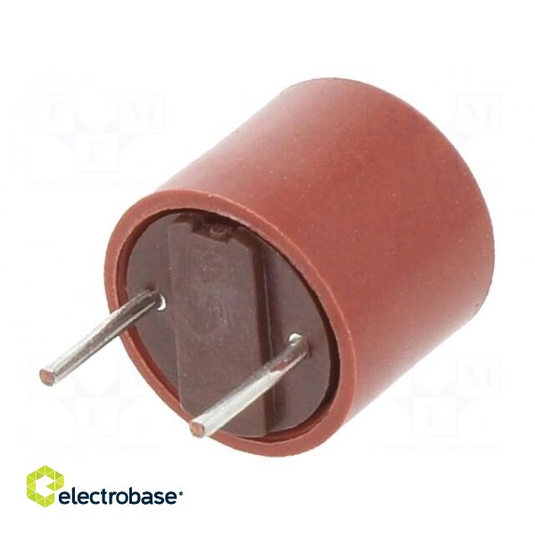 Fuse: fuse | time-lag | 2A | 250VAC | THT | TR5 | copper | 382 | 5.08mm | bulk фото 1