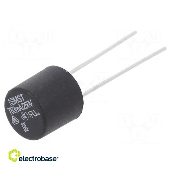 Fuse: fuse | time-lag | 63mA | 250VAC | PCB,THT | TR5 | copper | MST 250