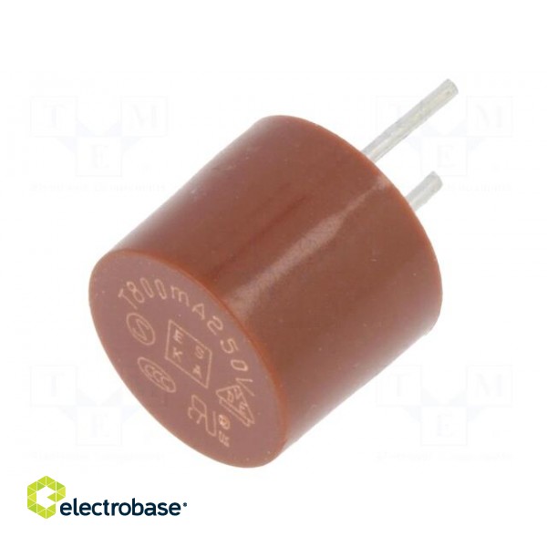 Fuse: fuse | time-lag | 800mA | 250VAC | THT | TR5 | copper | 887.100 | box image 2