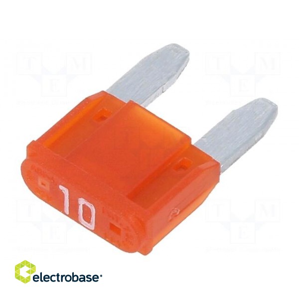 Fuse: fuse | 10A | 32VDC | automotive | 10.9mm | tin alloy