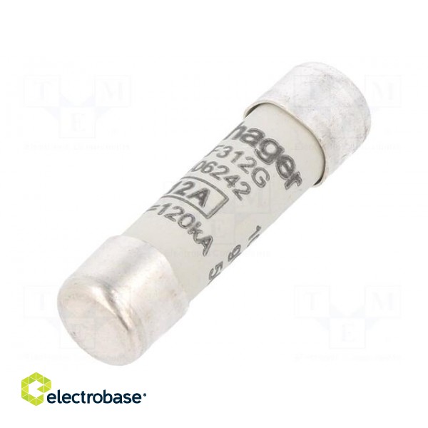 Fuse: fuse | gG,time-lag | 12A | 500VAC | cylindrical,industrial