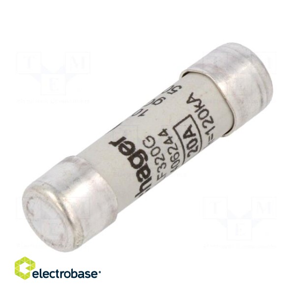 Fuse: fuse | gG,time-lag | 20A | 500VAC | cylindrical,industrial