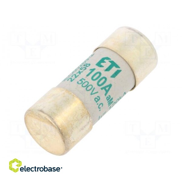 Fuse: fuse | aM | 100A | 500VAC | cylindrical,industrial | 22x58mm