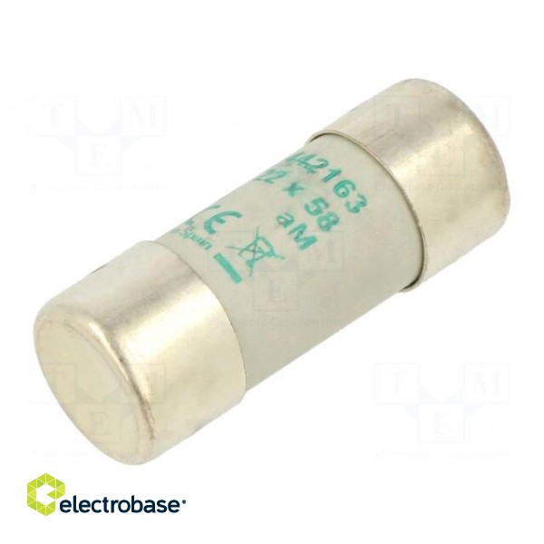 Fuse: fuse | aM | 63A | 690VAC | ceramic,cylindrical,industrial