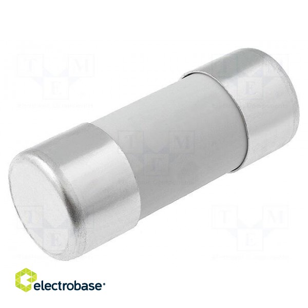 Fuse: fuse | gG | 100A | 500VAC | ceramic,cylindrical,industrial