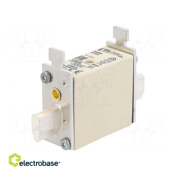 Fuse: fuse | gG | 100A | 500VAC | ceramic,industrial | NH000 | WT-NH image 1