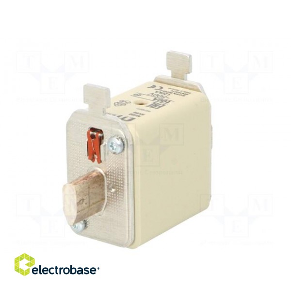 Fuse: fuse | gG | 100A | 500VAC | ceramic,industrial | NH00 | WT-NH image 6