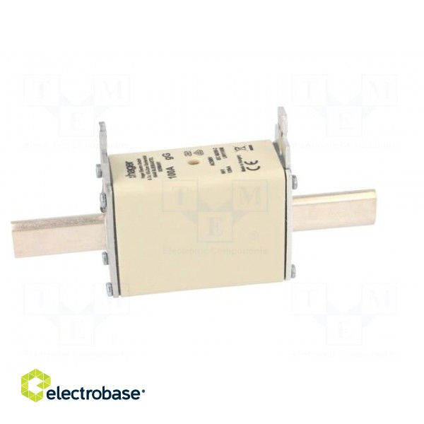 Fuse: fuse | gG | 100A | 500VAC | industrial | NH1C image 7