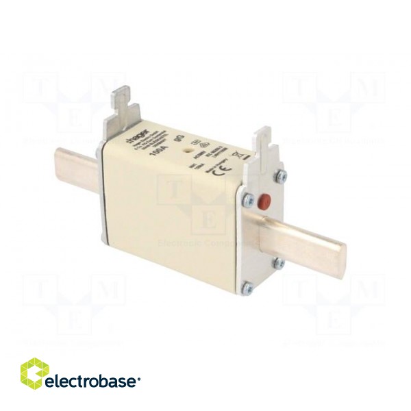 Fuse: fuse | gG | 100A | 500VAC | industrial | NH1C image 8