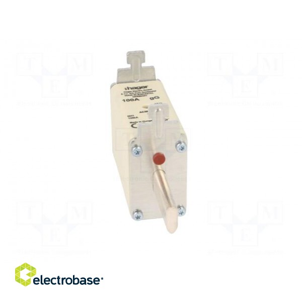 Fuse: fuse | gG | 100A | 500VAC | industrial | NH1C image 9