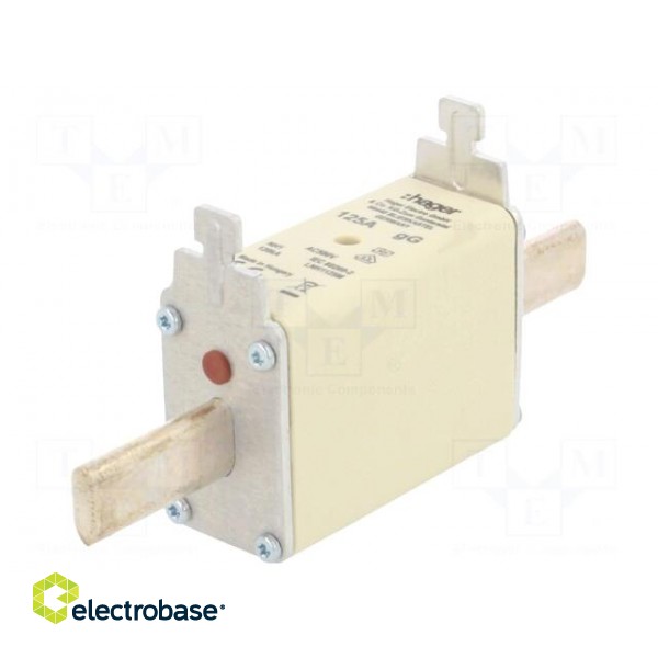 Fuse: fuse | gG | 125A | 500VAC | industrial | NH1C image 1