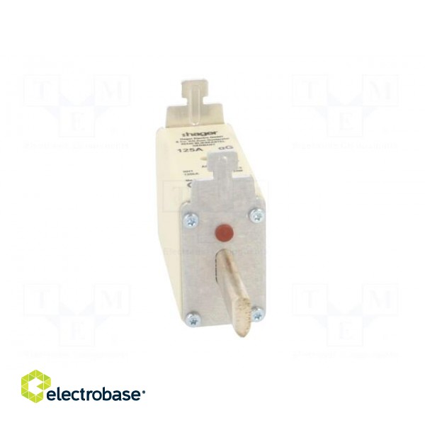 Fuse: fuse | gG | 125A | 500VAC | industrial | NH1C image 9