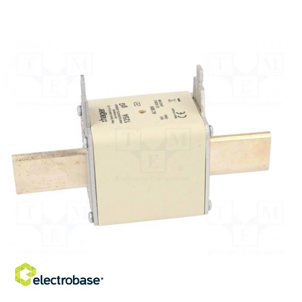 Fuse: fuse | gG | 125A | 500VAC | industrial | NH3C image 7