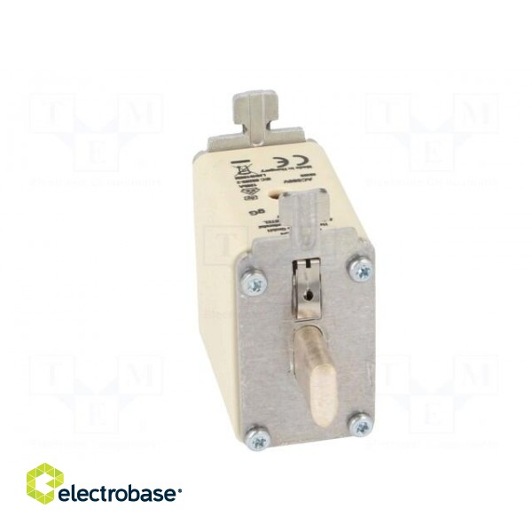 Fuse: fuse | gG | 160A | 500VAC | industrial | NH00 image 5