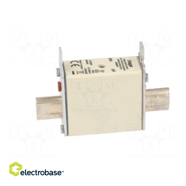 Fuse: fuse | gG | 20A | 500VAC | industrial | NH000 image 3