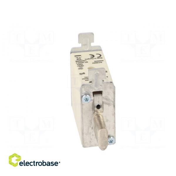 Fuse: fuse | gG | 20A | 500VAC | industrial | NH000 image 5