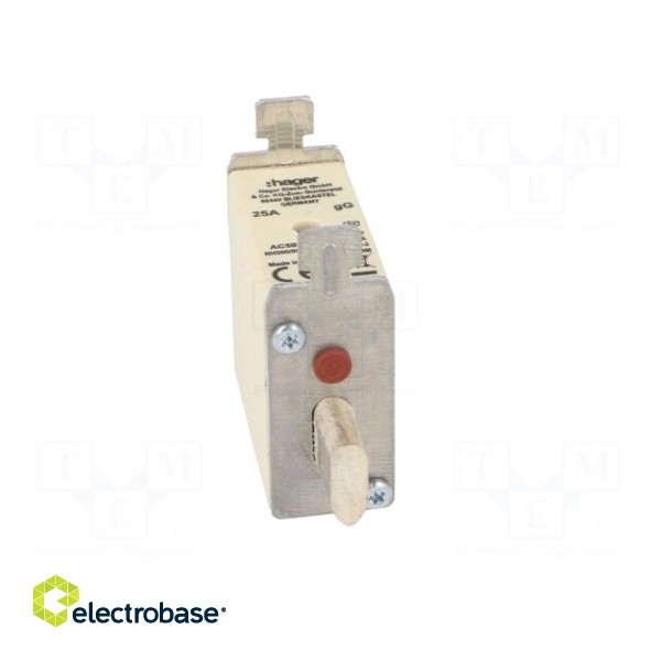 Fuse: fuse | gG | 25A | 500VAC | industrial | NH000 image 9
