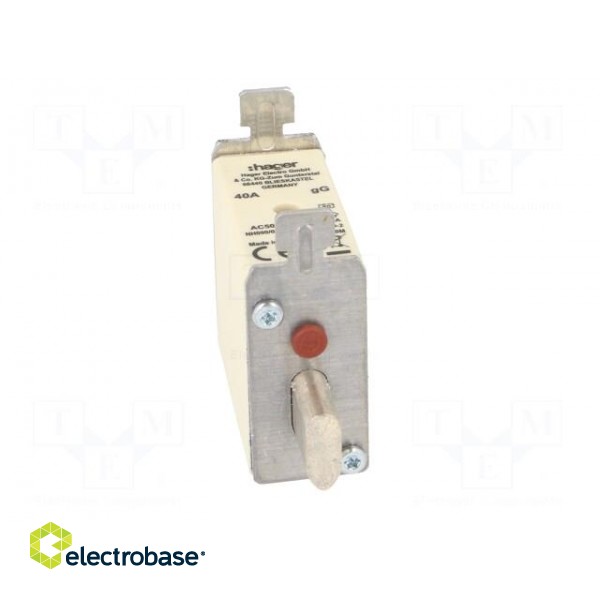 Fuse: fuse | gG | 40A | 500VAC | industrial | NH000 image 9