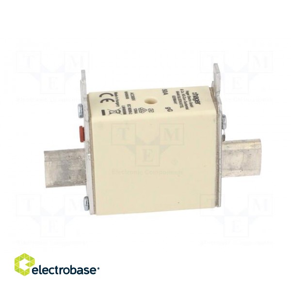 Fuse: fuse | gG | 50A | 500VAC | industrial | NH000 image 3