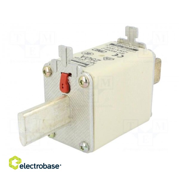 Fuse: fuse | gG,gL | 250A | 500VAC | 250VDC | ceramic,industrial | NH1 фото 1