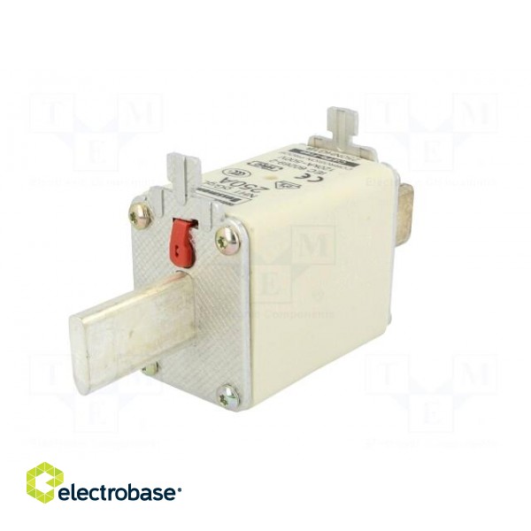 Fuse: fuse | gG,gL | 250A | 500VAC | 250VDC | ceramic,industrial | NH1 фото 2