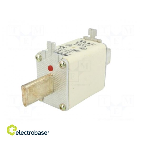 Fuse: fuse | gG,gL | 250A | 500VAC | 250VDC | ceramic,industrial | NH1 фото 6