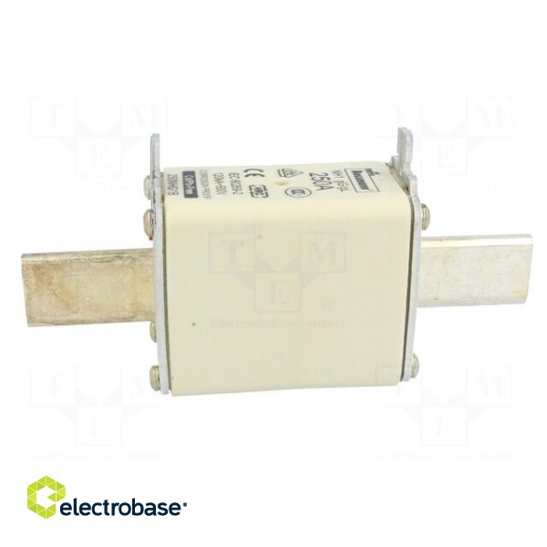 Fuse: fuse | gG,gL | 250A | 500VAC | 250VDC | ceramic,industrial | NH1 фото 7